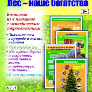 Комплект плакатов "Лес - наше богатство"