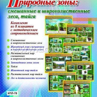 Комплект плакатов "Природные зоны: смешанные и широколиственные леса, тайга"