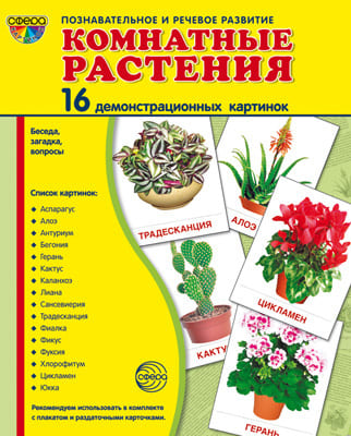 Демонстрационные картинки Супер. Комнатные растения.